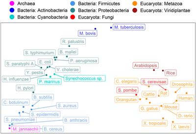 SETH predicts nuances of residue disorder from protein embeddings